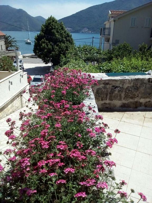 Apartmani Villa Radovic Risan Bagian luar foto