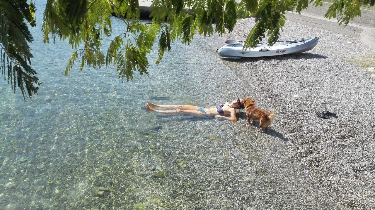 Apartmani Villa Radovic Risan Bagian luar foto