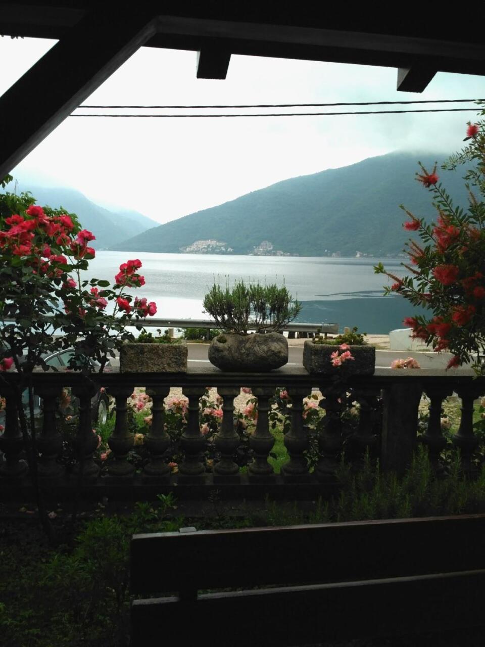 Apartmani Villa Radovic Risan Bagian luar foto